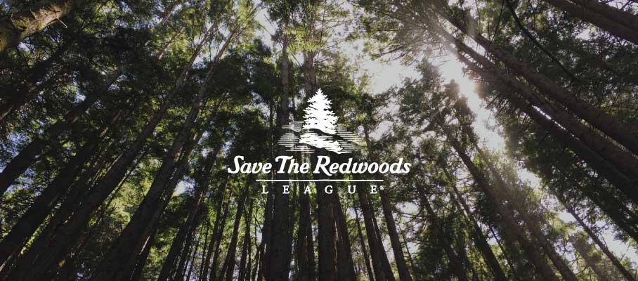 Abbott Giving Back to Redwoods