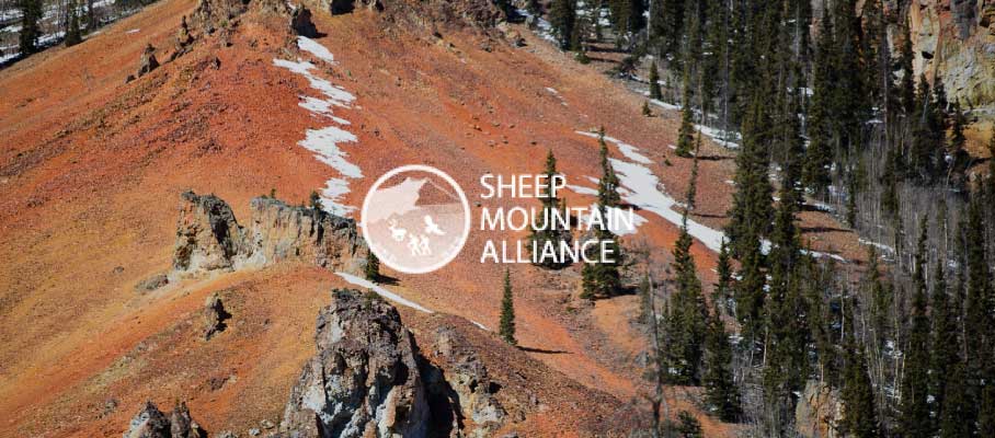 Abbott Giving Back to Sheep Mountain Alliance